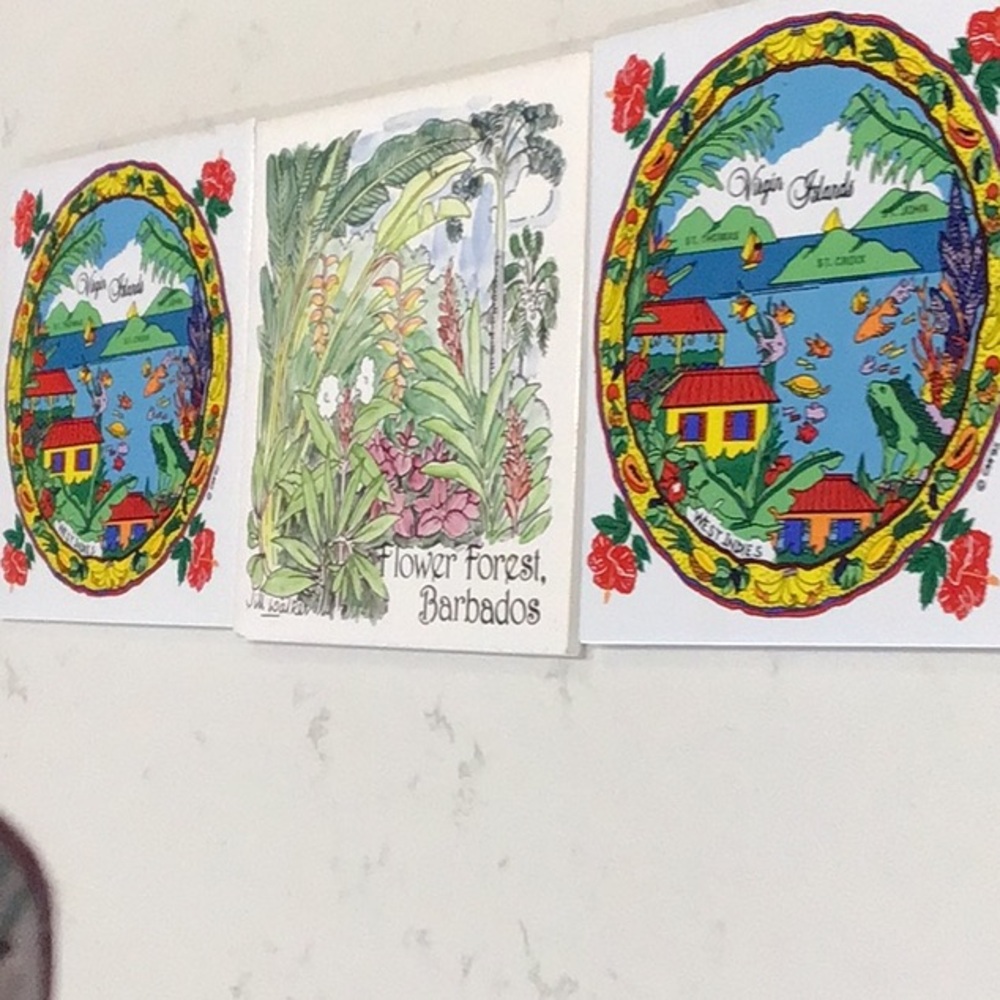 3 - Ceramic Tiles from the Caribbean